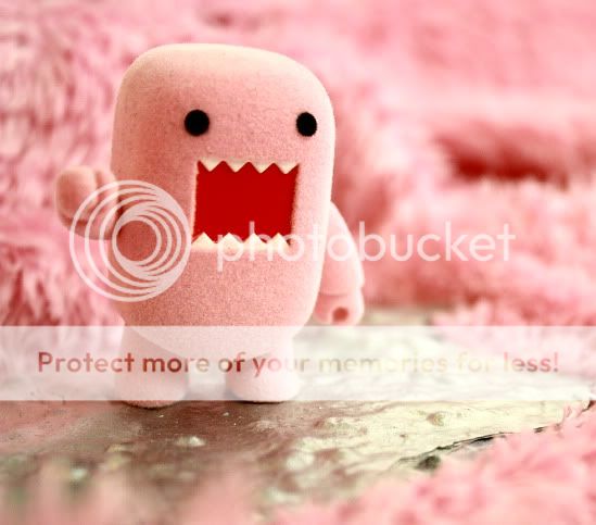 PINK DOMO Pictures, Images and Photos