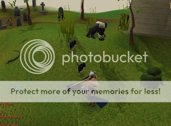 Eingefügtes Bild