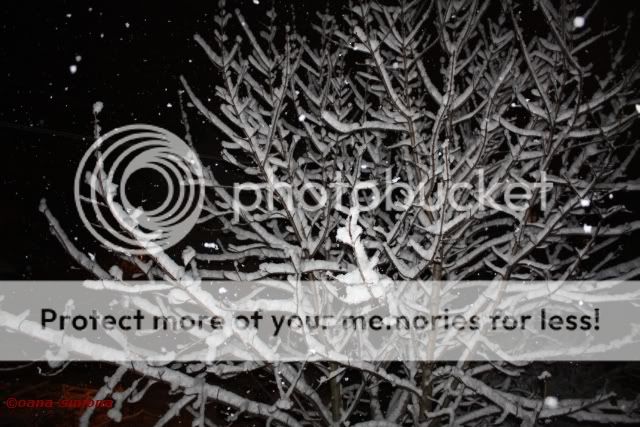 In Piatra, langa geamul meu