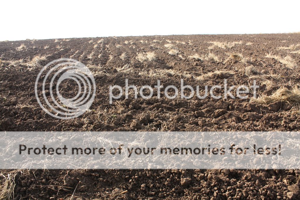 photo IMG_7958_zpsor0r7cz1.jpg