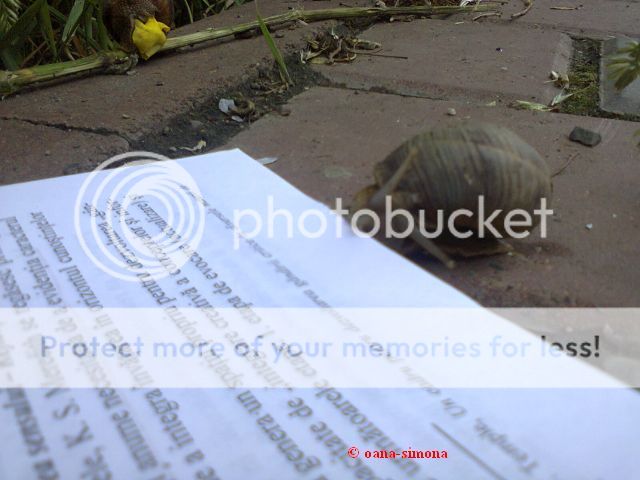 photo 0147c_zps56e39c8c.jpg