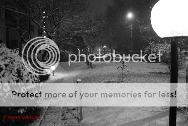 Zapada, dec. 2009, Zona Romolo, Milanowidth700