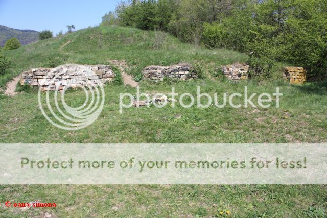 photo 5809c_zpsf612d6bd.jpg