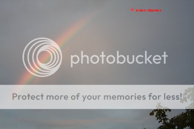  photo 6235c_zps1ced8d90.jpg