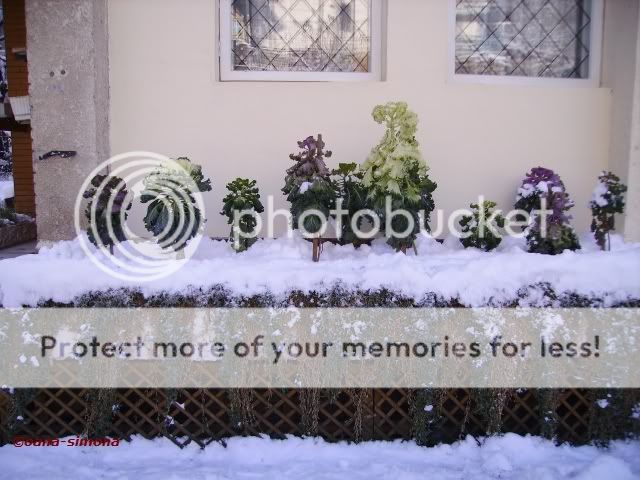 in Piatra, in fata unei case