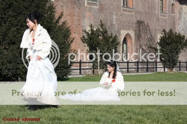 Mirese de origine asiatica