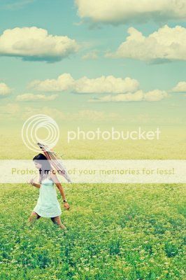 photography Pictures, Images and Photos