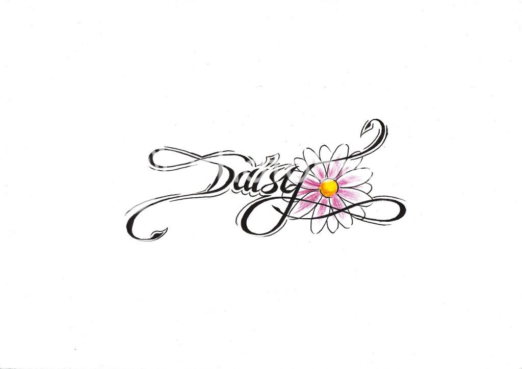 daisy Pictures, Images and Photos