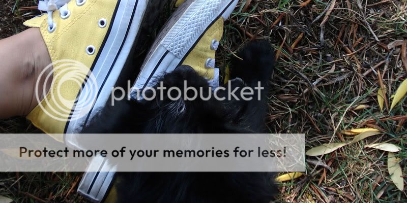 Photobucket