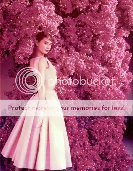 Audrey Hepburn Pictures, Images and Photos