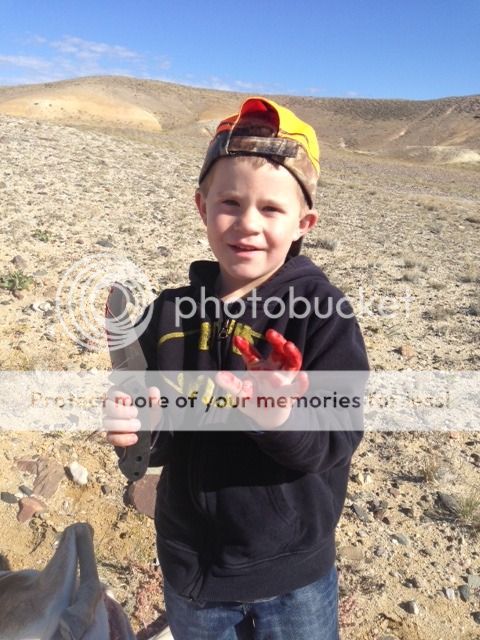 [Image: IMG_0764_zps769be267.jpg]