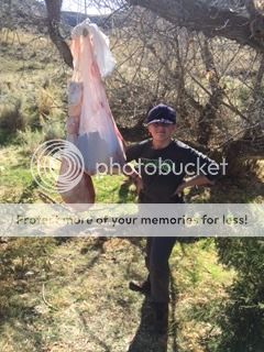 [Image: IMG_3182_zps5wl2pbmn.jpg]