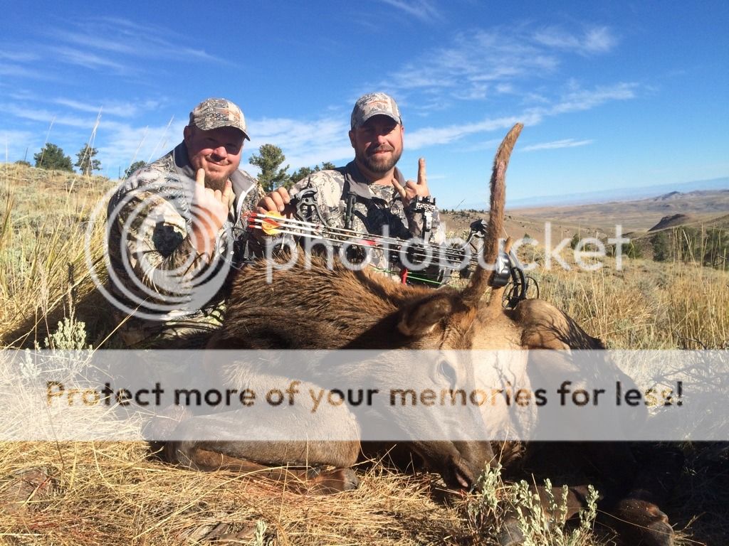 [Image: IMG_7425_zpstp4vk5jr.jpg]