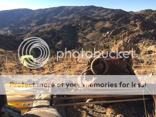 [Image: IMG_7469_zpsh6txu3vs.jpg]