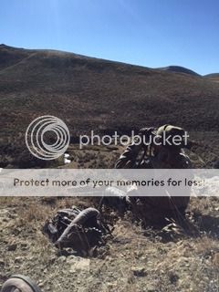 [Image: IMG_7486_zpsjmylygvv.jpg]