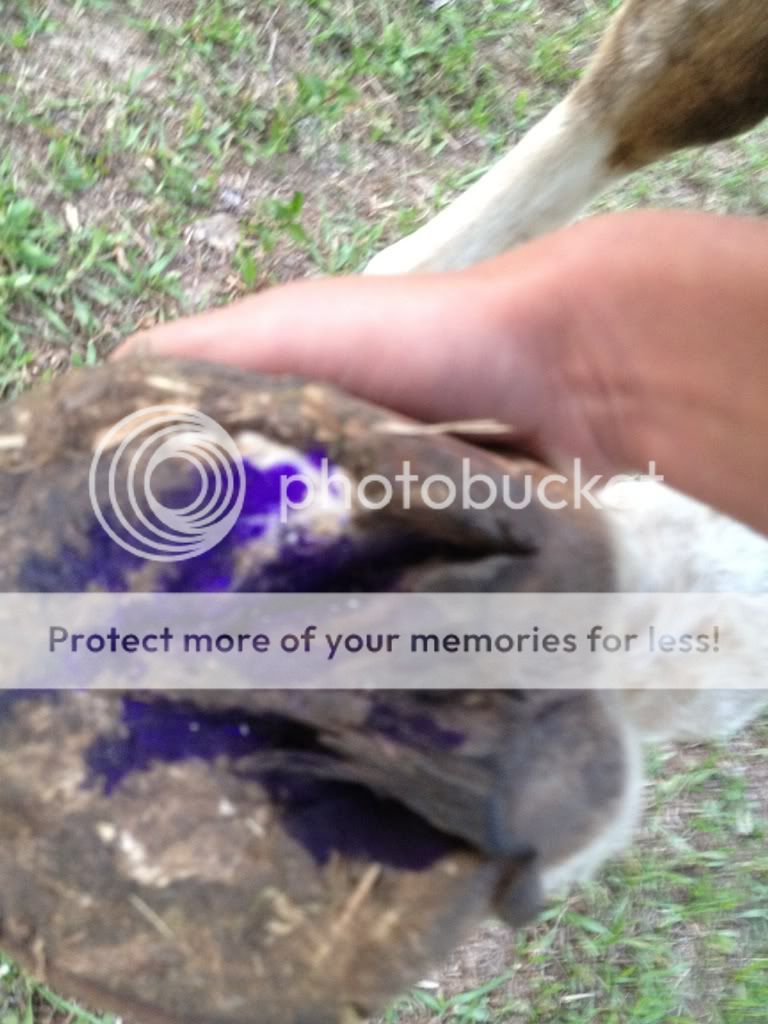 Posted Image