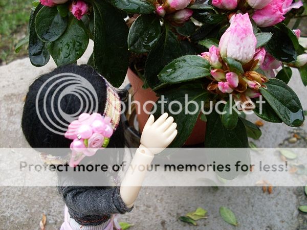 photo 02-1_zpseb86b27c.jpg