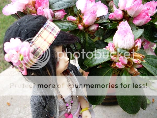 photo 03-1_zps46ecb00c.jpg