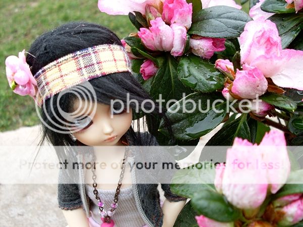 photo 04-1_zpsfce699fc.jpg