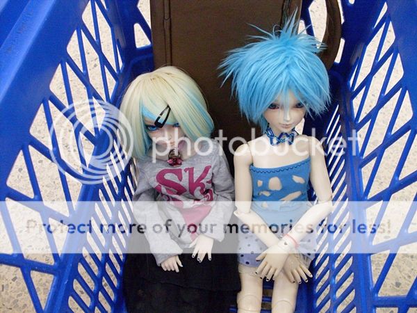  photo 101103_zps8933868c.jpg