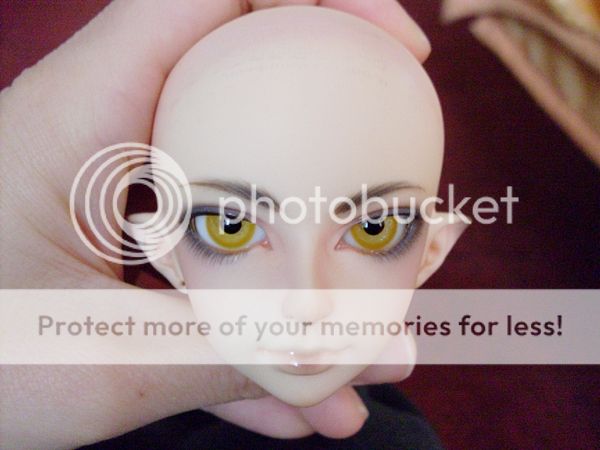 photo 08_zps218a6f58.jpg