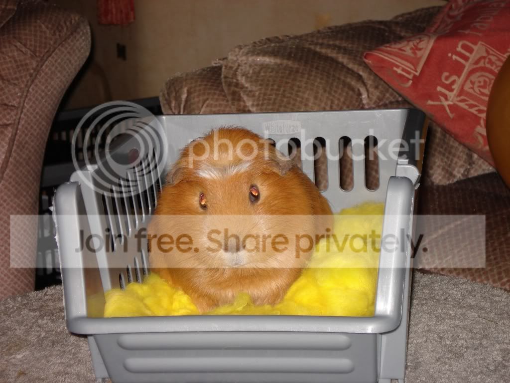 DSC00102.jpg