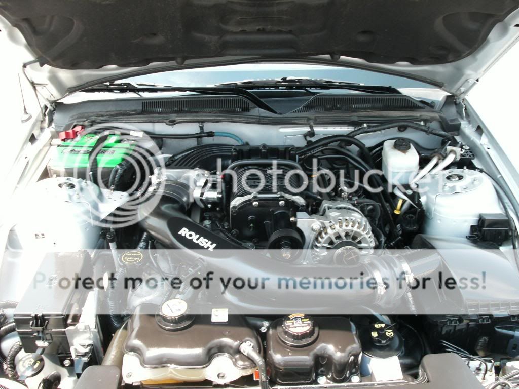 Z06 New Stable Mate for the Z06 :)- pics - CorvetteForum - Chevrolet ...